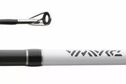 DAIWA TATULA XT CASTING ROD